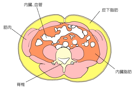 内臓脂肪　メンズエステ